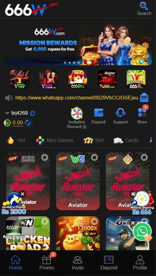 666W Game interface