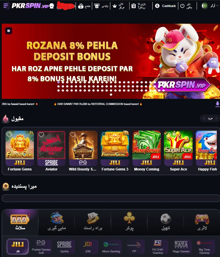 PKR SPIN Game interface