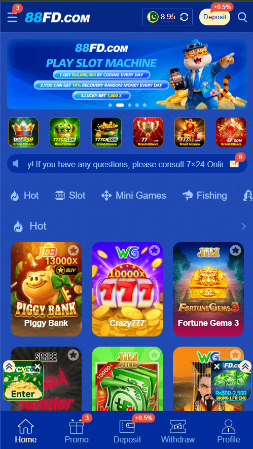 N786 Game