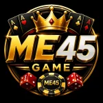 ME45 Game logo