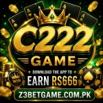 C222 Game logo